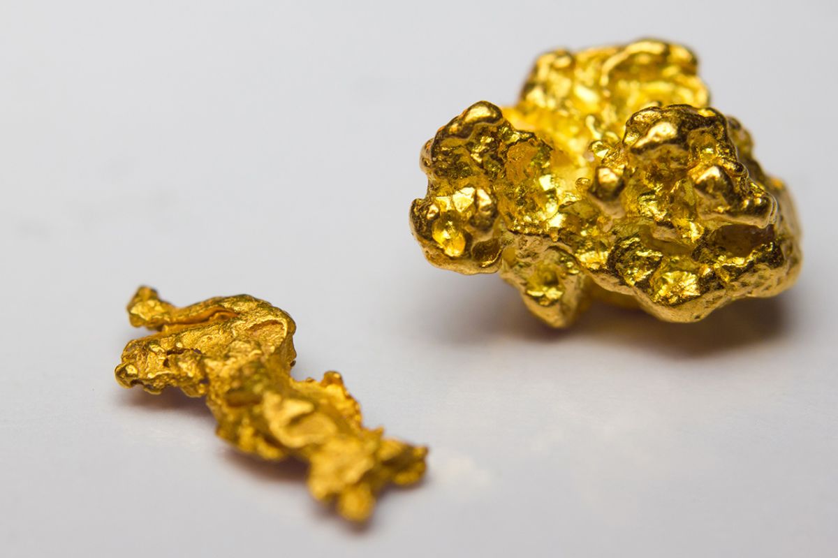 Das Ende der Armut? Eine Pflanze entdeckt, die reines Gold produziert und in jedem Haushalt angebaut werden kann
