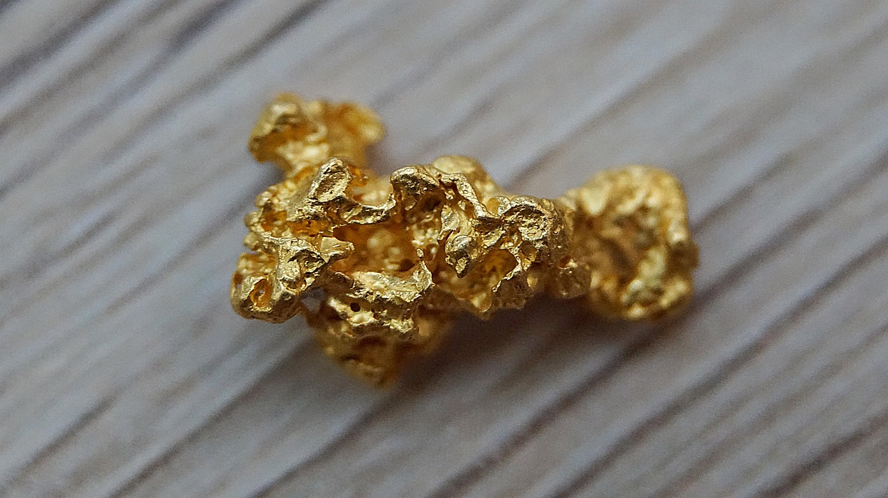 Das Ende der Armut? Eine Pflanze entdeckt, die reines Gold produziert und in jedem Haushalt angebaut werden kann